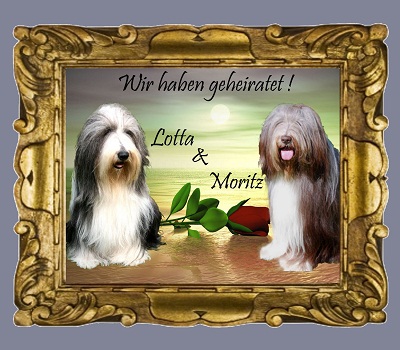 Lotta und Moritz werden heiraten
